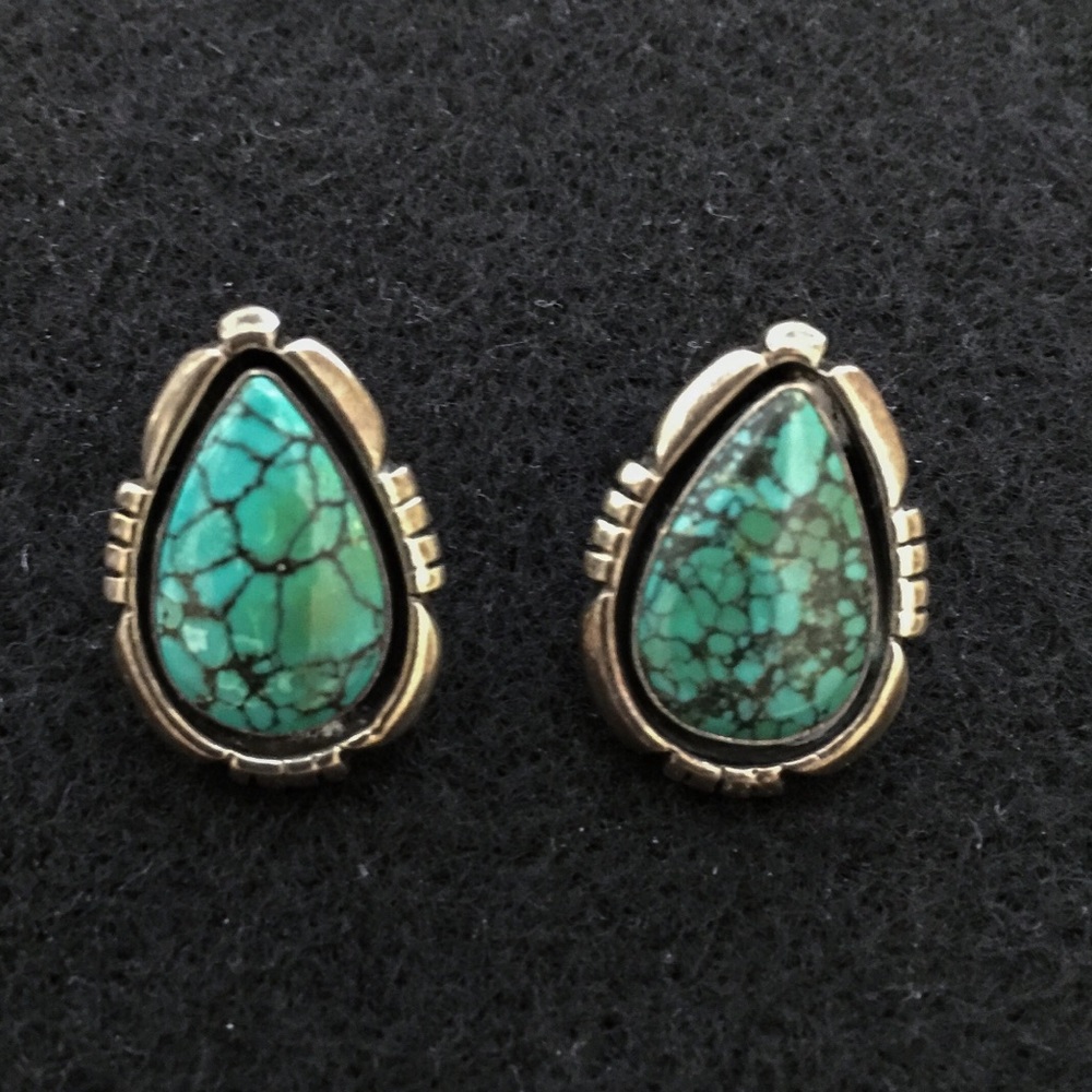 Turquoise, Sterling Silver Edith James Earrings